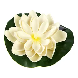 Solar-Seerose, weiß