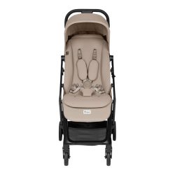 Buggy Fly N Care