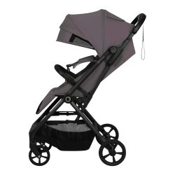 Buggy TANSI
