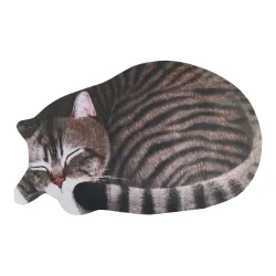 3D-Fußmatte 