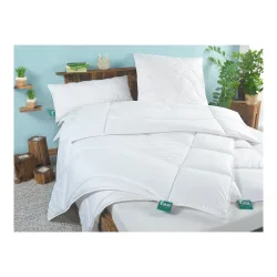 f.a.n. frankenstolz® Steppdecke Klima Active Plus
