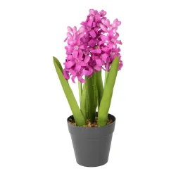 Kunstblume ?Hyazinthe?