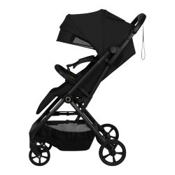 Buggy TANSI