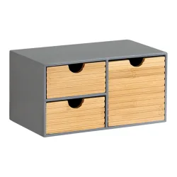 Organizer 
