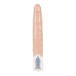 Vibrator 