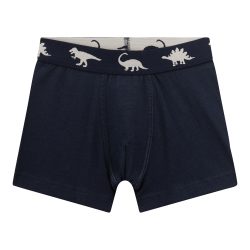 2er-Pack Boxershorts Dinos