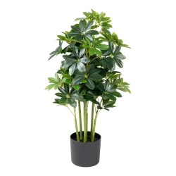 Kunstblume ?Strahlenaralie?
