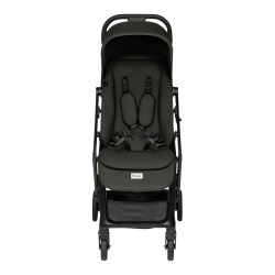 Buggy Fly N Care