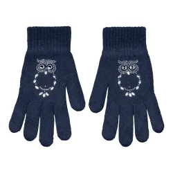Handschuh 