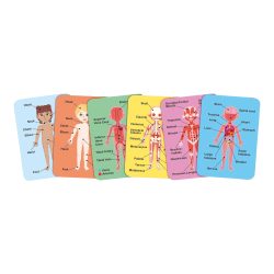Hape Puzzle »Menschlicher Körper«, (68 tlg.)