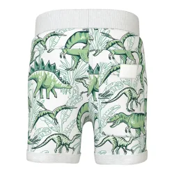 Sweat-Bermuda Dinos