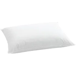 Billerbeck Kissen Standard Weiss 50 cm 70 cm - Material: Federn - Schweizer Möbelhersteller - Kissen