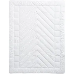 Billerbeck Kamelhaarduvet Camel Uno Weiss Baumwolle 160 cm 210 cm Kamelhaar - Kamelhaarduvet