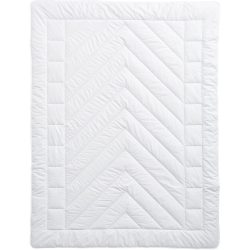 Billerbeck Kamelhaarduvet Camel Uno Weiss Baumwolle 200 cm 210 cm Kamelhaar - Kamelhaarduvet