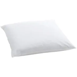 Billerbeck Kissen Stan Weiss 40 cm 40 cm - Material: Federn - Kissen