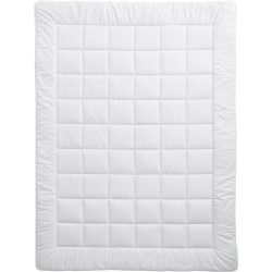 Billerbeck Schurwollduvet Meisterklasse Uno Weiss Baumwolle 160 cm 210 cm Schurwolle - Schurwollduvet