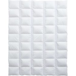 Billerbeck Daunenduvet Climabalance Light Weiss Baumwolle 200 cm 210 cm Gänsedaunen - Daunenduvet