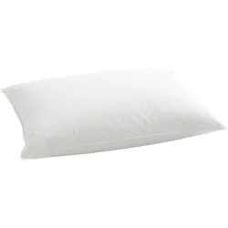 Billerbeck Kissen Duplo Weiss 60 cm 60 cm - Material: Daunen - Schweizer Möbelhersteller - Kissen