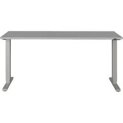 Schreibtisch Gwen Grau MDF 160 cm - Farbe: lichtgrau - Schreibtisch