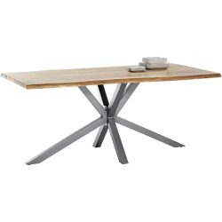 Esstisch Gordon Silber Holz 200 cm - Farbe: antiksilber - Material: Akazie - Esstisch
