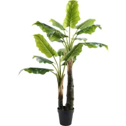 Kunstpflanze Plant Grün Kunststoff 137 cm - Kunstpflanze
