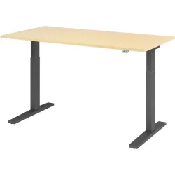 Hammerbacher Sitz-Stehschreibtisch VXMKA16/3/G Ahorn, Graphit 1'600 x 800 x 1'200 mm