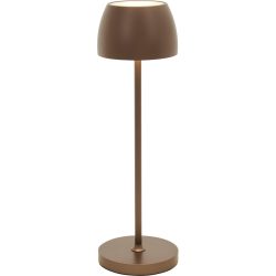 Tischlampe Lana Bronze Aluminium/Kunststoff - LED - Tischlampe- LED Energiesparlampe