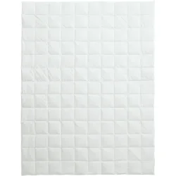 Billerbeck Daunenduvet Organic Goose Superlight Weiss Baumwolle 200 cm Gänsedaunen - Schweizer Möbelhersteller - Daunenduvet