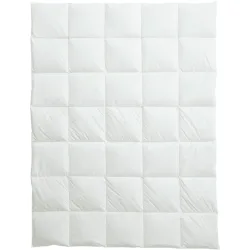 Billerbeck Duvet Nature Down Goose Medium Weiss 160 cm 240 cm Gänsedaunen - Duvet