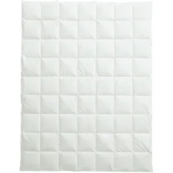 Billerbeck Duvet Organic Goose 4-Saisons Weiss 160 cm 210 cm Gänsedaunen - Duvet
