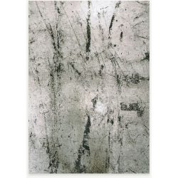 Outdoor-Teppich Alpine Grün Polyester 240 cm 240 cm - Outdoor-Teppich