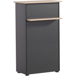 Aktenschrank Welco Schwarz Holz 65.8 cm 44 cm 110.5 cm - Farbe: schwarz/Eiche - Material: Holzwerkstoff - Aktenschrank
