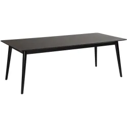 DAN-FORM Esstisch Yolo Schwarz Holz 100 cm - Esstisch