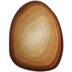 Teppich Moos Braun Wolle 160 cm 230 cm - Farbe: Terracotta - Teppich