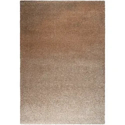 Teppich Veya Braun Polyethylen 120 cm 170 cm - Material: Polypropylen - Teppich