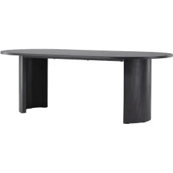 Esstisch Altus Schwarz Holzwerkstoff/MDF B 220 cm - Esstisch