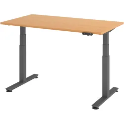 Schreibtisch Office Buche elektrische Höhenverstellung 140 x 80 cm