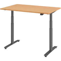 Schreibtisch Office Buche elektrische Höhenverstellung 120 x 80 cm
