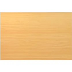 Schreibtischplatte Office Buche B 120 T 80 cm