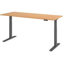 Schreibtisch Office Buche elektrische Höhenverstellung 200 x 80 cm