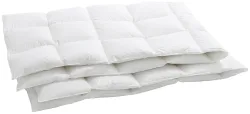 billerbeck Bern 90 Duvet 160x210