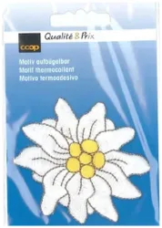 Coop Applikation Edelweiss groß
