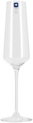 Leonardo - Champagnerglas, 280 ml, Transparent