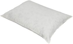 Inhouse Kissen Basic forte 65x65cm