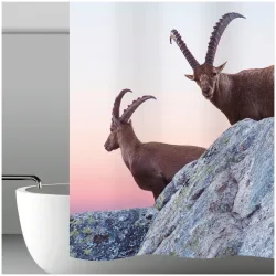my bath Duschvorhang Capricorn ca. 180x200 cm