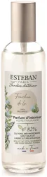 Esteban Paris Esteban Diff. 100 ml Fraicheur DE LIN