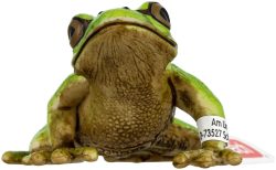 Schleich - 14882 Europäischer Laubfrosch, Multicolor
