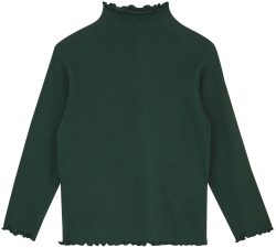 Naturaline Textil Naturaline Sweatshirt grün 74/80