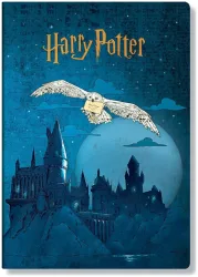 Paperblanks Notizheft Aufbruch nach Hogwarts A4 Karo
