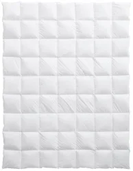 billerbeck Bern 100 Duvet 160 x 210 cm